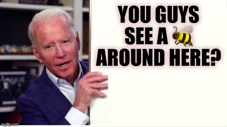 Biden behind his wall | YOU GUYS SEE A ? AROUND HERE? | image tagged in biden behind his wall | made w/ Imgflip meme maker