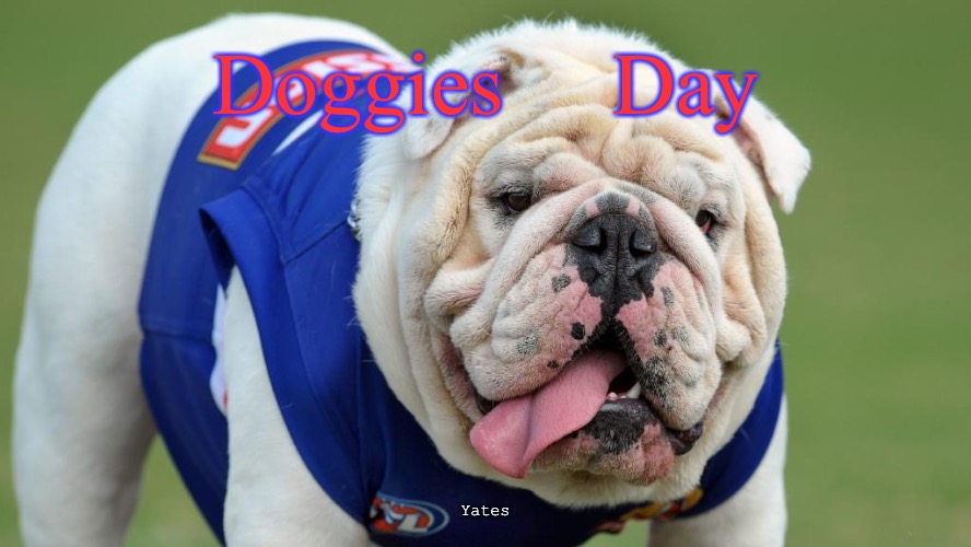 AFL Bulldogs | Doggies     Day; Yates | image tagged in doggies,bulldogs | made w/ Imgflip meme maker