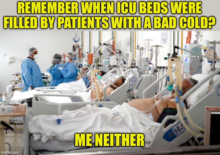 REMEMBER WHEN ICU BEDS WERE FILLED BY PATIENTS WITH A BAD COLD? ME NEITHER | made w/ Imgflip meme maker