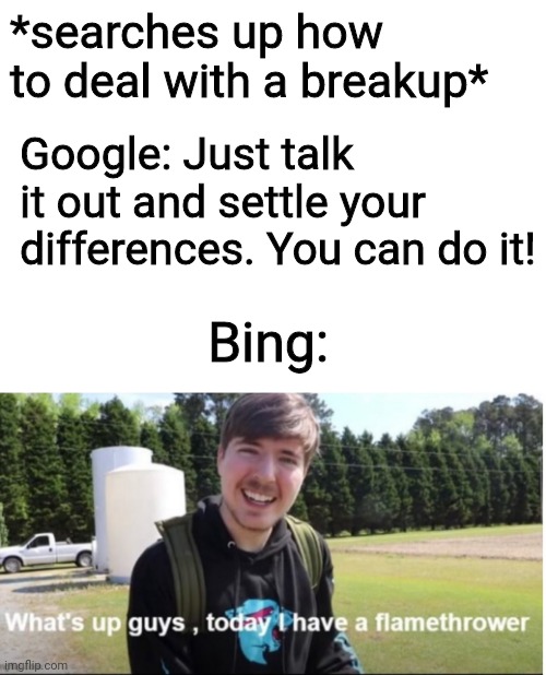 Can you really say I'm wrong? (Hint: I'm not) | *searches up how to deal with a breakup*; Google: Just talk it out and settle your differences. You can do it! Bing: | image tagged in mrbeast,google,bing,love,breakup,funny | made w/ Imgflip meme maker