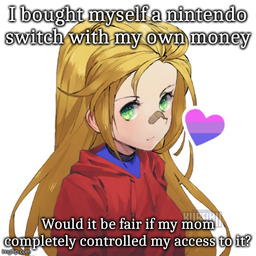 A nintendo switch is $300 btw | I bought myself a nintendo switch with my own money; Would it be fair if my mom completely controlled my access to it? | image tagged in holly | made w/ Imgflip meme maker