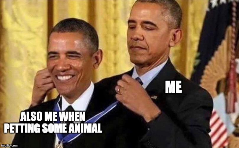obama medal |  ME; ALSO ME WHEN PETTING SOME ANIMAL | image tagged in obama medal | made w/ Imgflip meme maker