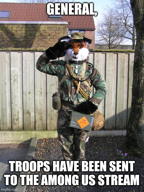 We sent furrets to the among us stream |  GENERAL, TROOPS HAVE BEEN SENT TO THE AMONG US STREAM | image tagged in furry soldier,furry,furret,among us,soldier | made w/ Imgflip meme maker