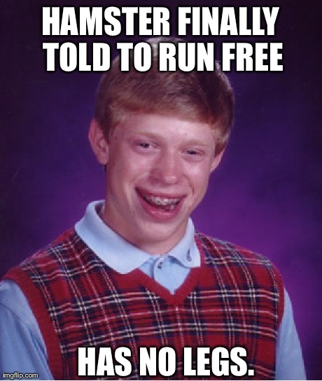 Bad Luck Brian Meme | HAMSTER FINALLY TOLD TO RUN FREE HAS NO LEGS. | image tagged in memes,bad luck brian | made w/ Imgflip meme maker