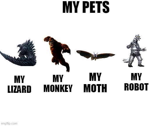 My pets | MY PETS; MY MOTH; MY ROBOT; MY MONKEY; MY LIZARD | image tagged in blank white template,godzilla,fun,memes | made w/ Imgflip meme maker