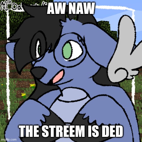 fursona thing | AW NAW; THE STREEM IS DED | image tagged in fursona thing | made w/ Imgflip meme maker