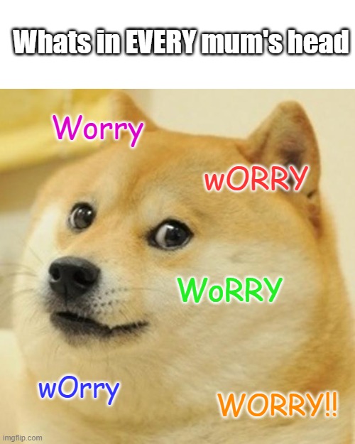 #Facts! | Whats in EVERY mum's head; Worry; wORRY; WoRRY; wOrry; WORRY!! | image tagged in memes,doge | made w/ Imgflip meme maker