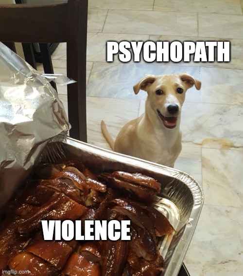 excited psycho | PSYCHOPATH; VIOLENCE | image tagged in anticipation dog mia | made w/ Imgflip meme maker