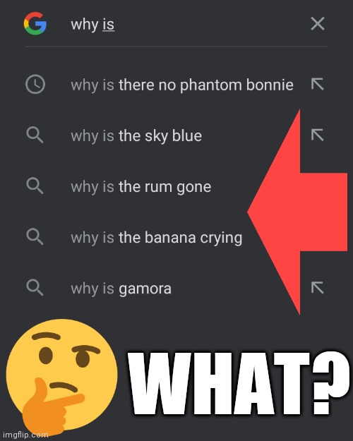 W h a t | WHAT? | image tagged in google search,i have several questions,why,what,why did you read the tags | made w/ Imgflip meme maker