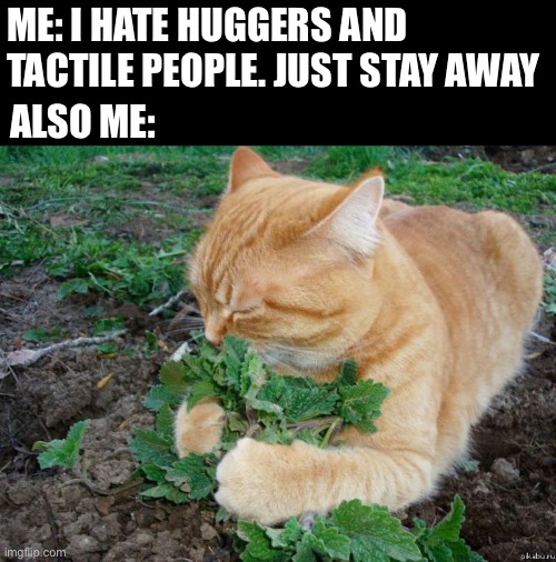 Plant lover | ME: I HATE HUGGERS AND TACTILE PEOPLE. JUST STAY AWAY; ALSO ME: | image tagged in plant lover | made w/ Imgflip meme maker