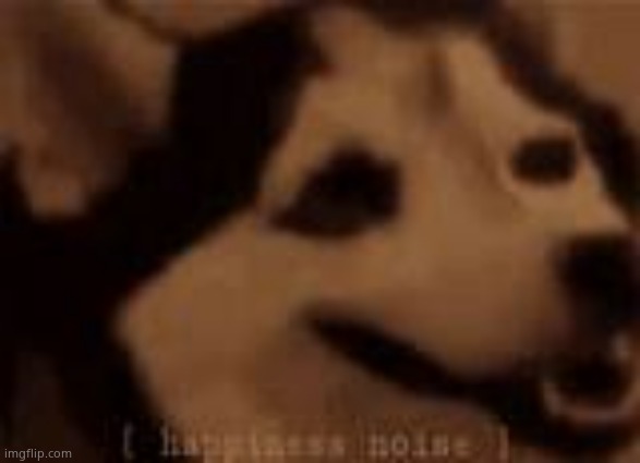 Happines noises dog | image tagged in happines noises dog | made w/ Imgflip meme maker
