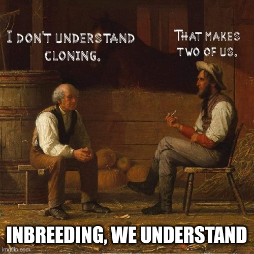 inbreeding |  INBREEDING, WE UNDERSTAND | image tagged in mormons | made w/ Imgflip meme maker