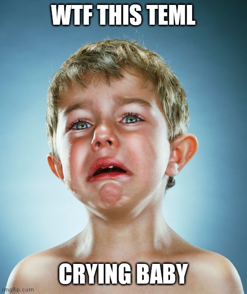 Temp* | WTF THIS TEML; CRYING BABY | image tagged in crying baby | made w/ Imgflip meme maker
