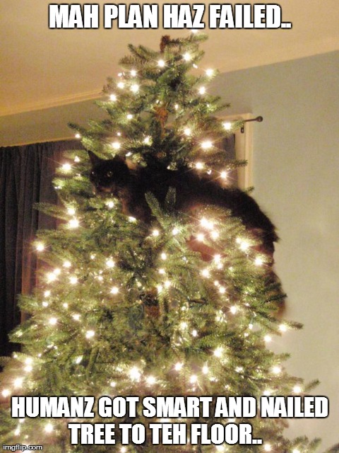 Plan haz failed kitty | MAH PLAN HAZ FAILED.. HUMANZ GOT SMART AND NAILED TREE TO TEH FLOOR.. | image tagged in kitty in da tree,holiday cat,cat in tree,smart humanz | made w/ Imgflip meme maker