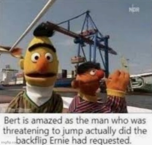 Yo, wtf bernie | image tagged in dark humor | made w/ Imgflip meme maker