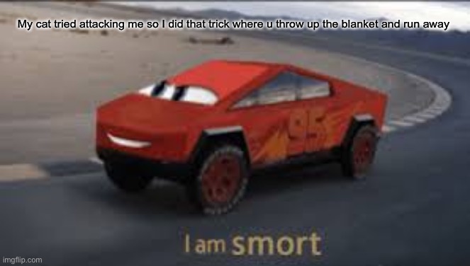 I am smort | My cat tried attacking me so I did that trick where u throw up the blanket and run away | image tagged in i am smort | made w/ Imgflip meme maker
