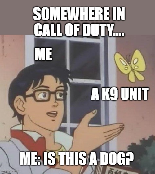 Is This A Pigeon Meme | SOMEWHERE IN CALL OF DUTY.... ME; A K9 UNIT; ME: IS THIS A DOG? | image tagged in memes,is this a pigeon | made w/ Imgflip meme maker