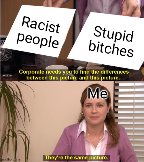 They're same! | Racist people; Stupid bitches; Me | image tagged in memes,they're the same picture | made w/ Imgflip meme maker