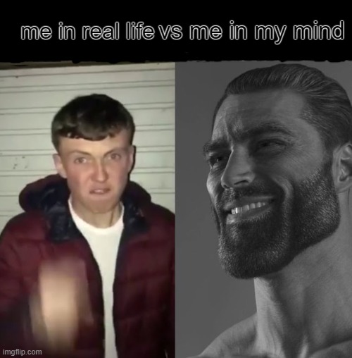 Average Fan vs Average Enjoyer | vs me in my mind; me in real life | image tagged in average fan vs average enjoyer,true,memes | made w/ Imgflip meme maker