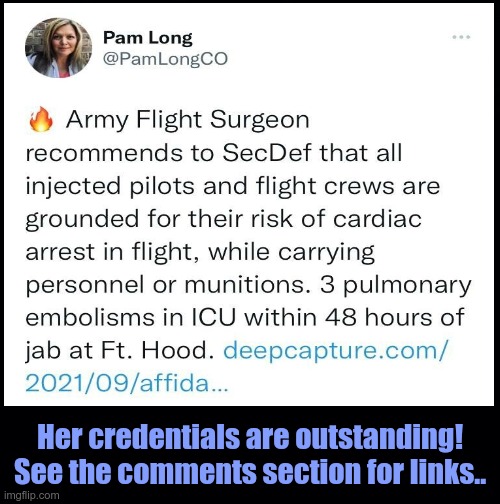 AFFIDAVIT OF LTC. THERESA LONG M.D. IN SUPPORT OF A MOTION FOR A PRELIMINARY INJUNCTION ORDER | Her credentials are outstanding! See the comments section for links.. | image tagged in covid,covid-19,covid 19,covid vaccine | made w/ Imgflip meme maker