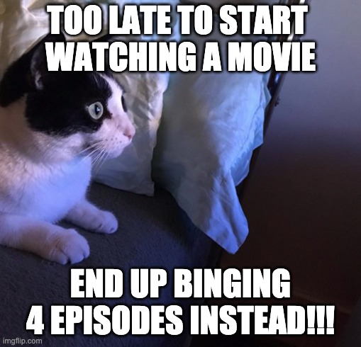 Binging Episodes on TV | TOO LATE TO START 
WATCHING A MOVIE; END UP BINGING 4 EPISODES INSTEAD!!! | image tagged in netflix,tv,binge watching,tired | made w/ Imgflip meme maker