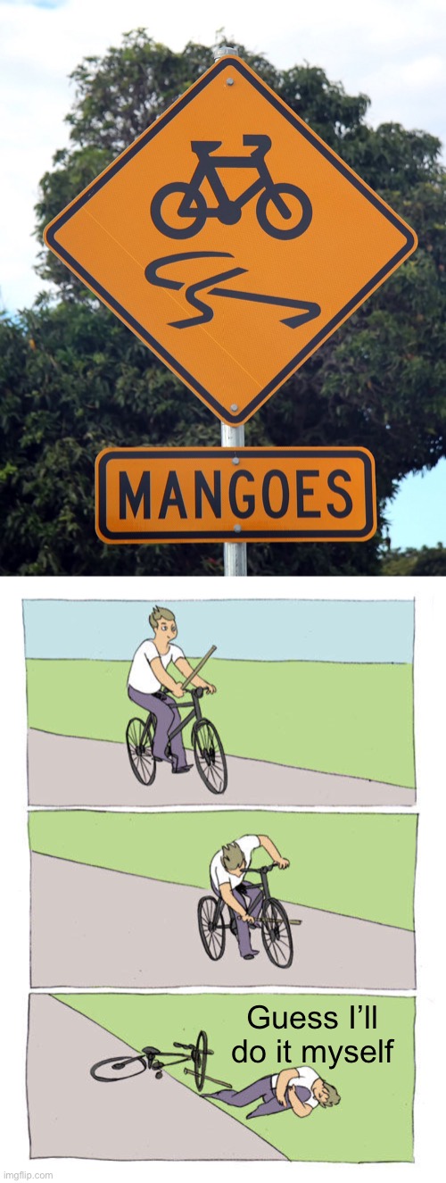 Fear the mangoes | Guess I’ll do it myself | image tagged in memes,bike fall,mangoes | made w/ Imgflip meme maker