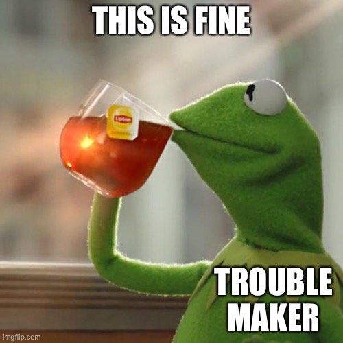 What Troublemakers do when they see a fight? | THIS IS FINE; TROUBLE MAKER | image tagged in memes,but that's none of my business,kermit the frog,prepare for trouble and make it double | made w/ Imgflip meme maker