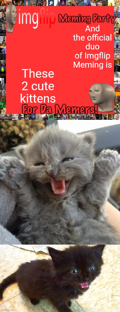 Ima wait for Lardar to die of cuteness again. | And the official duo of Imgflip Meming is; These 2 cute kittens | image tagged in imgflip meming party announcement,excited kitten,tiny black kitten | made w/ Imgflip meme maker