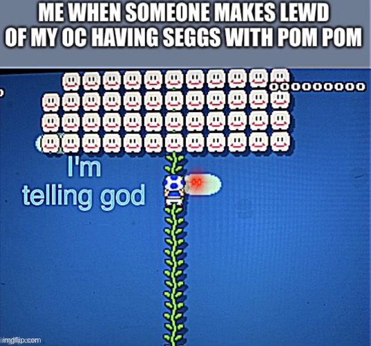 I accidentally posted this on fun | image tagged in oc,toad tells god,pom pom,toad | made w/ Imgflip meme maker