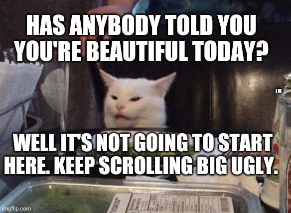 Salad cat | HAS ANYBODY TOLD YOU YOU'RE BEAUTIFUL TODAY? J M; WELL IT'S NOT GOING TO START HERE. KEEP SCROLLING BIG UGLY. | image tagged in salad cat | made w/ Imgflip meme maker