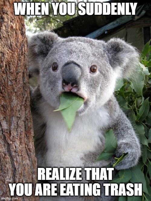 oh my | WHEN YOU SUDDENLY; REALIZE THAT YOU ARE EATING TRASH | image tagged in memes,surprised koala | made w/ Imgflip meme maker