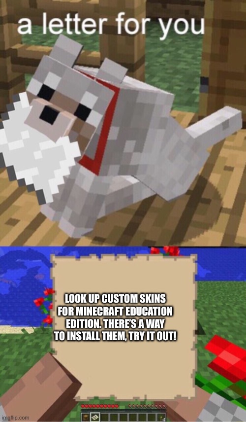 It’s possible guys!!! | LOOK UP CUSTOM SKINS FOR MINECRAFT EDUCATION EDITION. THERE’S A WAY TO INSTALL THEM, TRY IT OUT! | image tagged in minecraft mail | made w/ Imgflip meme maker