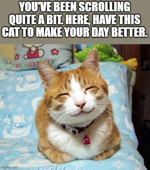 Also, have an upvote. You deserve it. | YOU'VE BEEN SCROLLING QUITE A BIT. HERE, HAVE THIS CAT TO MAKE YOUR DAY BETTER. | image tagged in cute smiling cat | made w/ Imgflip meme maker