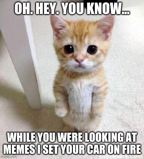 CARS | OH. HEY. YOU KNOW... WHILE YOU WERE LOOKING AT MEMES I SET YOUR CAR ON FIRE | image tagged in memes,cute cat | made w/ Imgflip meme maker