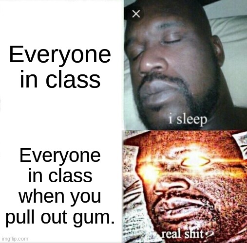 Sleeping Shaq | Everyone in class; Everyone in class when you pull out gum. | image tagged in memes,sleeping shaq | made w/ Imgflip meme maker