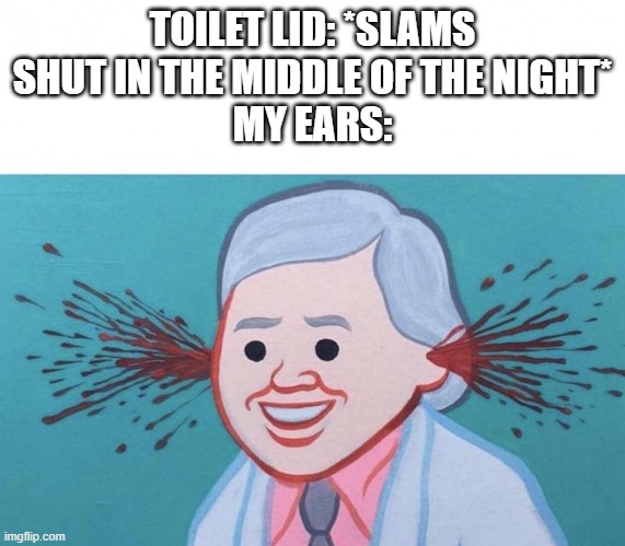 Ear Bleed | TOILET LID: *SLAMS SHUT IN THE MIDDLE OF THE NIGHT*
MY EARS: | image tagged in ear bleed | made w/ Imgflip meme maker