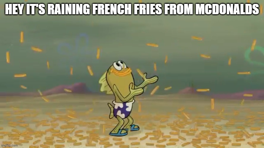 Lol I like fries | HEY IT'S RAINING FRENCH FRIES FROM MCDONALDS | image tagged in hey it s raining x,mcdonalds,memes,french fries,yee | made w/ Imgflip meme maker