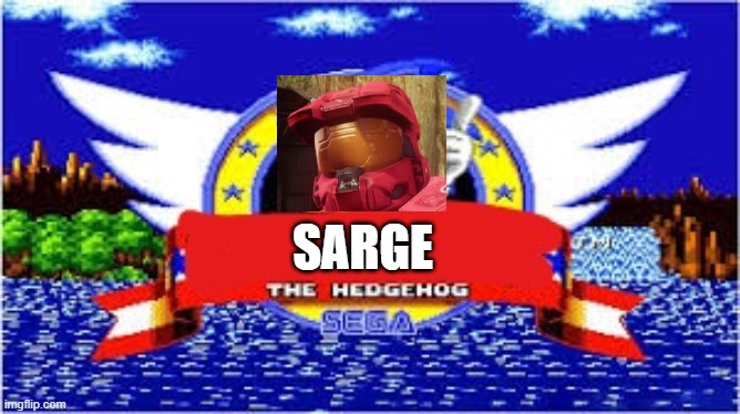 blank the hedgehog | SARGE | image tagged in blank the hedgehog | made w/ Imgflip meme maker