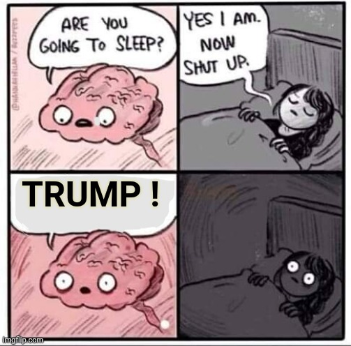 Are you going to sleep? | TRUMP ! | image tagged in are you going to sleep | made w/ Imgflip meme maker