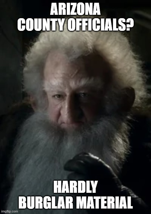 Wise Balin | ARIZONA COUNTY OFFICIALS? HARDLY BURGLAR MATERIAL | image tagged in audit,arizona,lotr | made w/ Imgflip meme maker