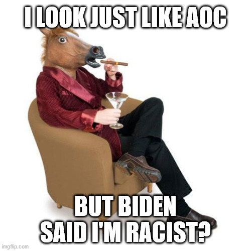AOC Twin | I LOOK JUST LIKE AOC; BUT BIDEN SAID I'M RACIST? | image tagged in crazy aoc | made w/ Imgflip meme maker