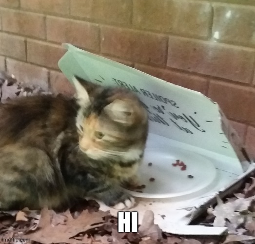 Gm | HI | image tagged in coca | made w/ Imgflip meme maker