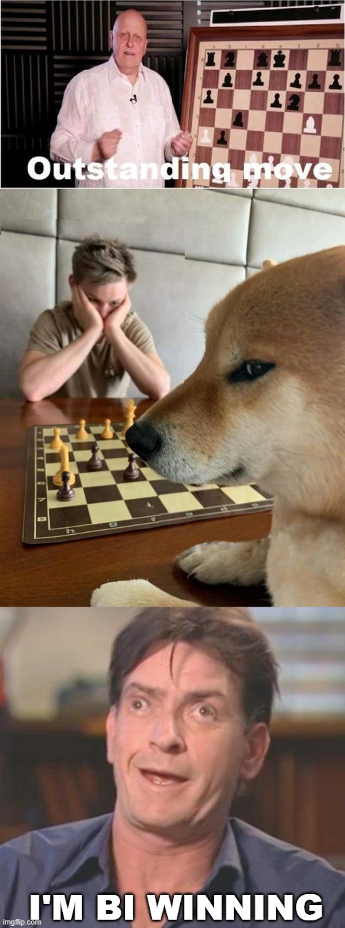 Why thankyou | I'M BI WINNING | image tagged in outstanding move,cheems play chess,charlie sheen derp,funny,memes,winning | made w/ Imgflip meme maker