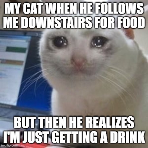 poor guy | MY CAT WHEN HE FOLLOWS ME DOWNSTAIRS FOR FOOD; BUT THEN HE REALIZES I'M JUST GETTING A DRINK | image tagged in sad cat tears | made w/ Imgflip meme maker