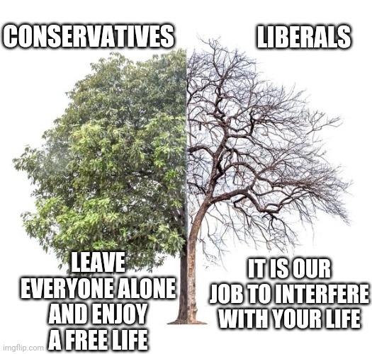 Just Stop It | LIBERALS; CONSERVATIVES; LEAVE EVERYONE ALONE AND ENJOY A FREE LIFE; IT IS OUR JOB TO INTERFERE WITH YOUR LIFE | image tagged in democrats,liberals,nancy pelosi,fda,biden,kamala harris | made w/ Imgflip meme maker