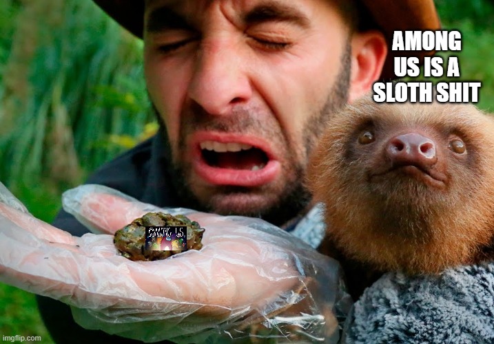 InnerSloth LLC more like sloth shit | AMONG US IS A SLOTH SHIT | image tagged in google | made w/ Imgflip meme maker