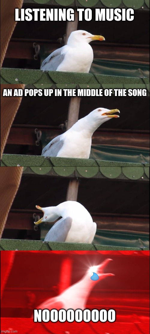 i'm pretty sure this has happened to others too | LISTENING TO MUSIC; AN AD POPS UP IN THE MIDDLE OF THE SONG; NOOOOOOOOO | image tagged in memes,inhaling seagull | made w/ Imgflip meme maker