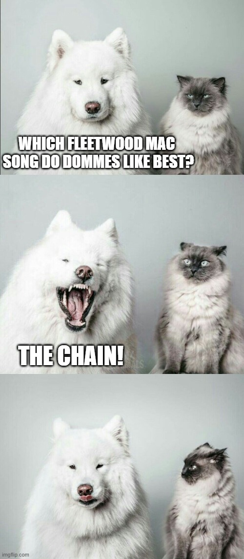 Bad Joke Dog & Cat Femdom | WHICH FLEETWOOD MAC 
SONG DO DOMMES LIKE BEST? THE CHAIN! | image tagged in bad joke dog cat,memes | made w/ Imgflip meme maker