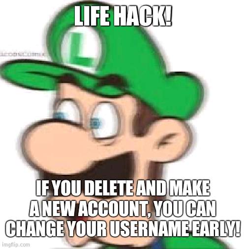 this is a joke in case youre stupid | LIFE HACK! IF YOU DELETE AND MAKE A NEW ACCOUNT, YOU CAN CHANGE YOUR USERNAME EARLY! | image tagged in luigi pog | made w/ Imgflip meme maker