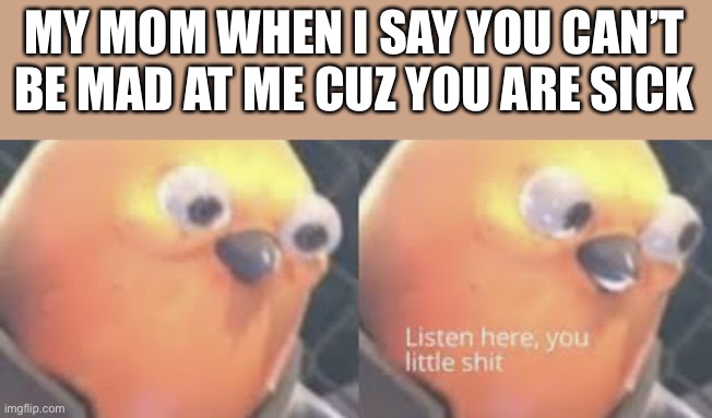 Yeah. |  MY MOM WHEN I SAY YOU CAN’T BE MAD AT ME CUZ YOU ARE SICK | image tagged in listen here you little shit bird | made w/ Imgflip meme maker